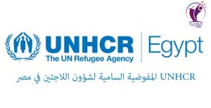 طريقة طلب اللجوء من المفوضية UNHCR في مصر